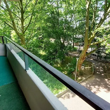 Cozy Room, Balcony Access, Free Parking Apartment *