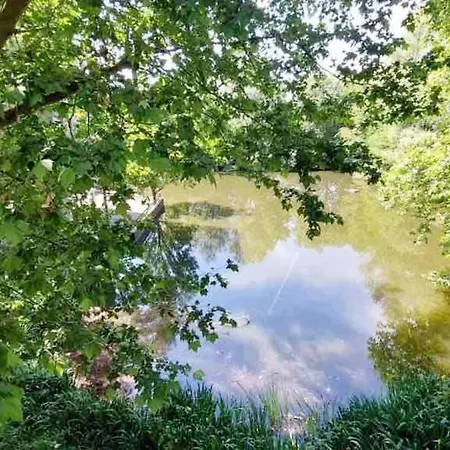 Cozy Room, Balcony Access, Free Parking Apartment *